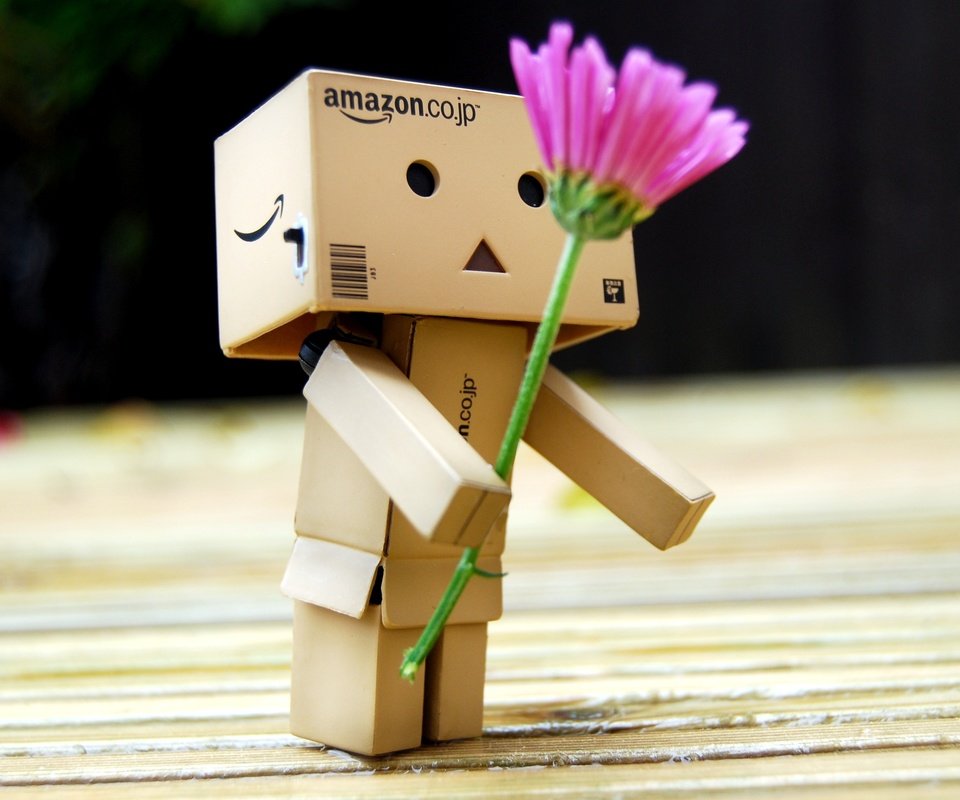 Обои цветок, робот, подарок, игрушечная, danboard, данбо, цветком, короб, flower, robot, gift, toy, danbo, box разрешение 3660x2369 Загрузить