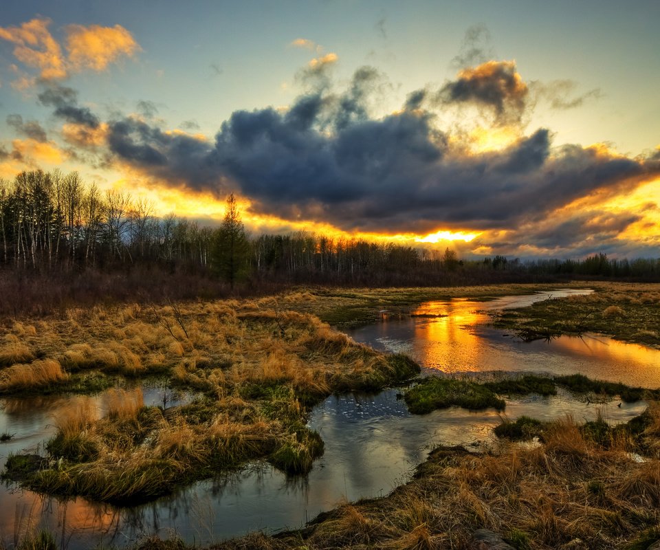 Обои трава, природа, болото, закат, тучи, grass, nature, swamp, sunset, clouds разрешение 2560x1600 Загрузить