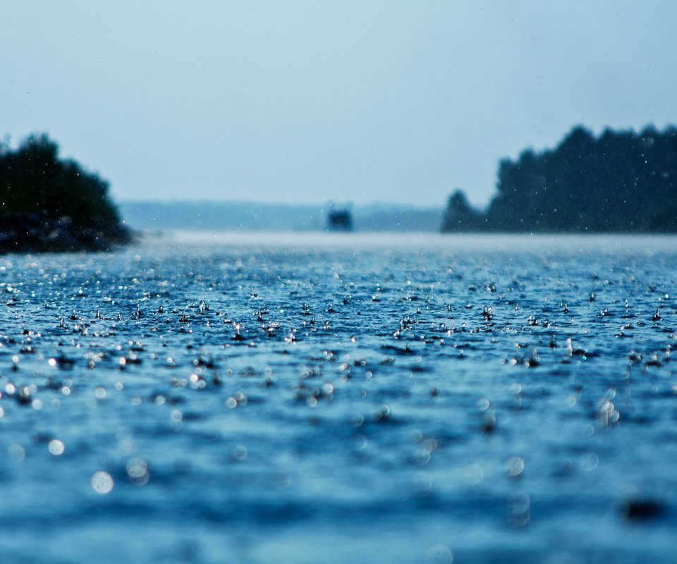 Обои вода, капли, дождь, поверхность, осадки, water, drops, rain, surface разрешение 1920x1200 Загрузить