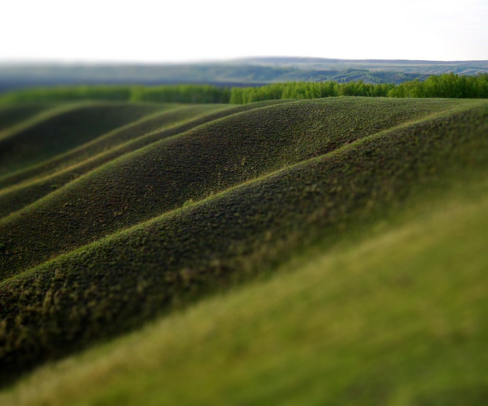 Обои трава, природа, зелень, поле, размытость, холм, grass, nature, greens, field, blur, hill разрешение 1920x1080 Загрузить