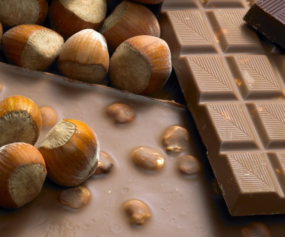 Обои орехи, шоколад, плитка, фундук, nuts, chocolate, tile, hazelnuts разрешение 1920x1200 Загрузить