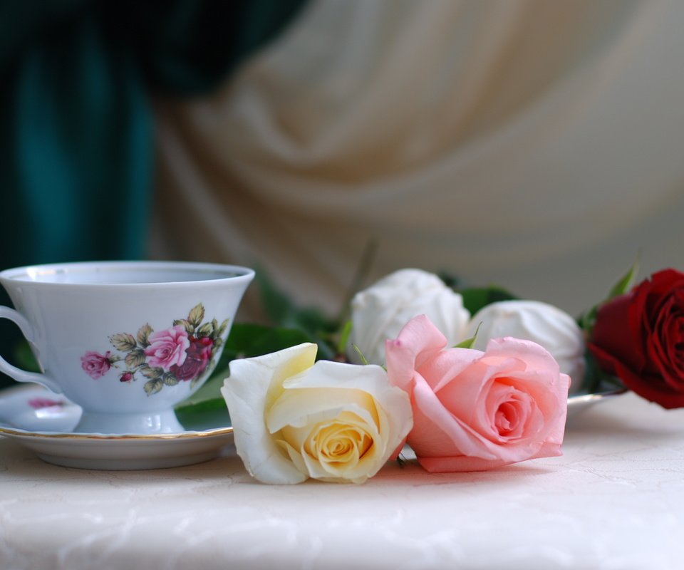 Обои праздниг, cvety, rozy, natyurmort, chashka, chaj, stol, prazdnik разрешение 3872x2592 Загрузить
