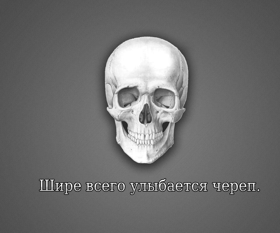 Обои seryj, nadpis, skelet, cherep, удыбка, ulybka разрешение 1920x1080 Загрузить