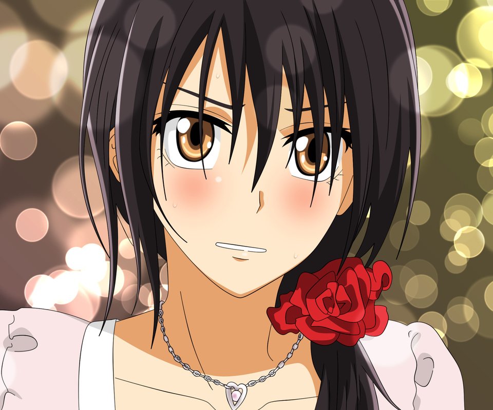 Обои девушка, аниме, prezident studsoveta gornichnaya, misaki ayuzawa, kaichou wa maid-sama, girl, anime разрешение 2560x1600 Загрузить