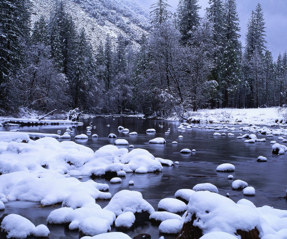 Обои снег, зима, snow, winter разрешение 1920x1080 Загрузить