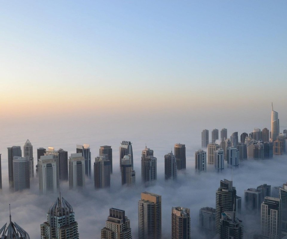 Обои утро, туман, высота, небоскребы, прохлада, дубаи, morning, fog, height, skyscrapers, cool, dubai разрешение 1920x1200 Загрузить