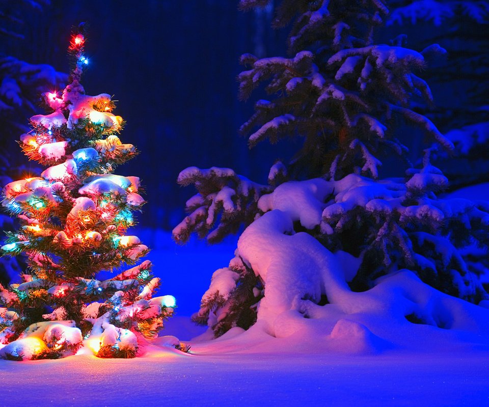 Обои снег, природа, елка, зима, красиво, snow, nature, tree, winter, beautiful разрешение 1920x1200 Загрузить
