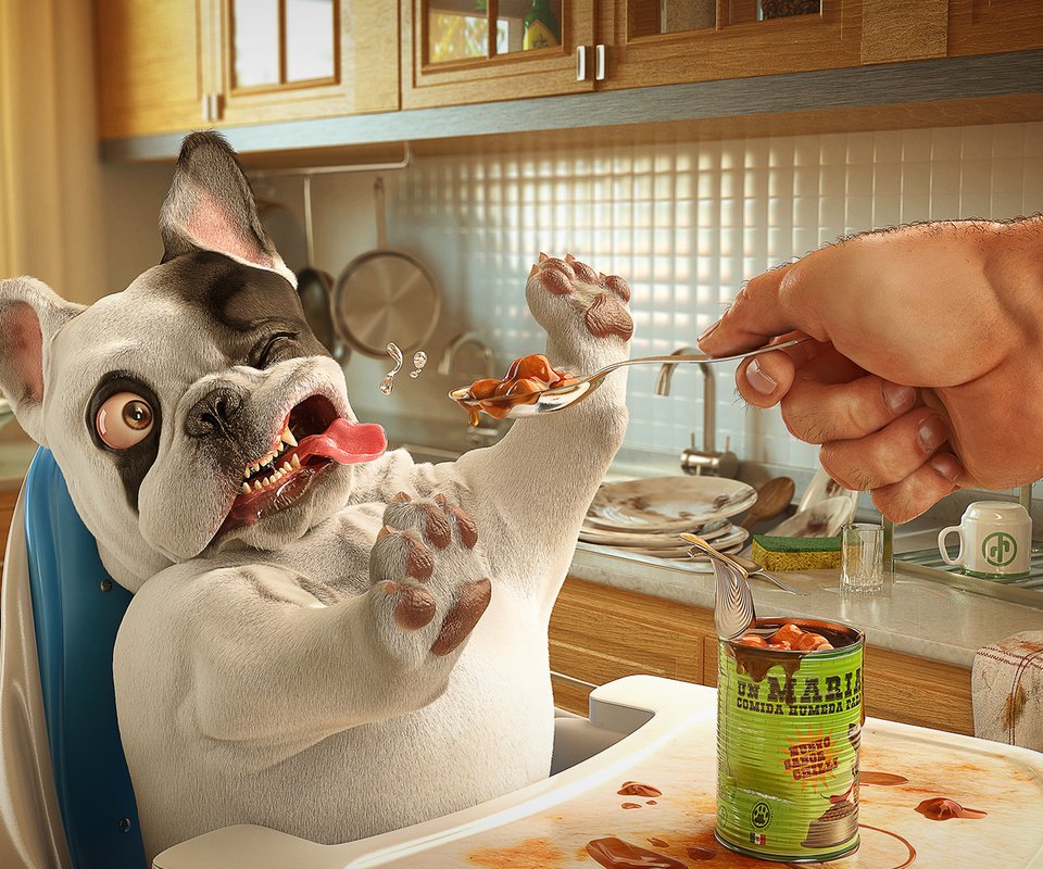 Обои лапы, собака, язык, обед, корм, хозяин, paws, dog, language, lunch, food, the owner разрешение 1920x1080 Загрузить