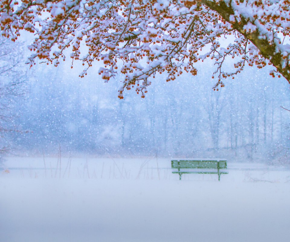 Обои зима, парк, скамейка, снегопад, winter, park, bench, snowfall разрешение 2010x1337 Загрузить