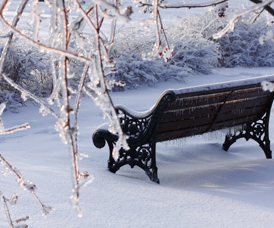 Обои снег, зима, парк, ветки, лёд, скамейка, snow, winter, park, branches, ice, bench разрешение 3888x2592 Загрузить