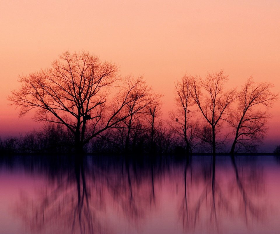 Обои небо, деревья, вода, озеро, закат, отражение, осень, the sky, trees, water, lake, sunset, reflection, autumn разрешение 1920x1200 Загрузить