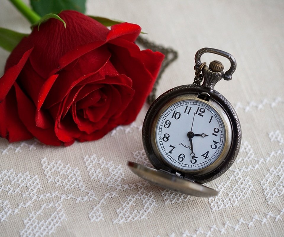 Обои цветок, роза, часы, время, времени, циферблат, цветком, clock, flower, rose, watch, time, dial разрешение 1920x1282 Загрузить