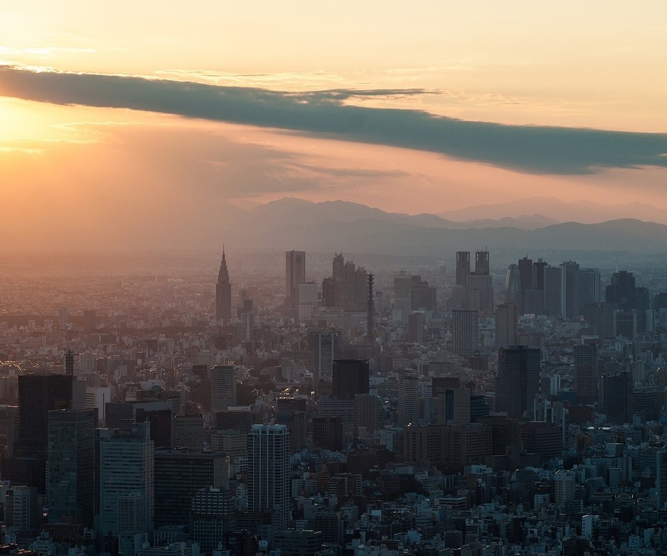 Обои солнце, закат, япония, небоскребы, здания, токио, shinjuku, tokyo skytree, the sun, sunset, japan, skyscrapers, building, tokyo разрешение 2048x1302 Загрузить