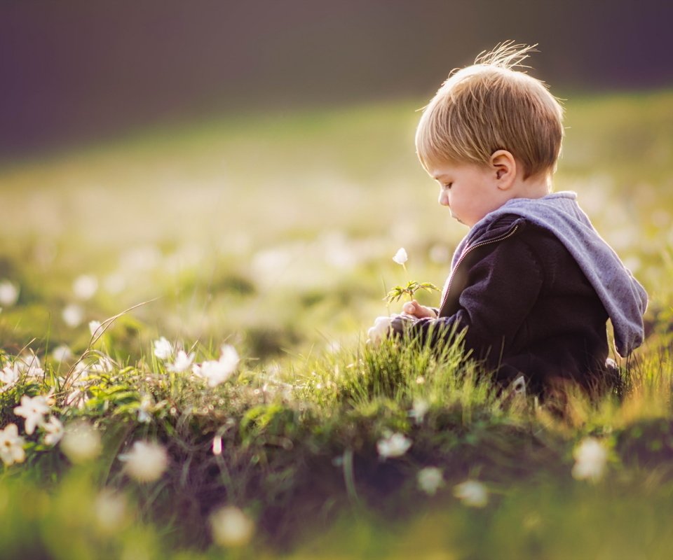 Обои цветы, трава, лето, дети, ребенок, мальчик, flowers, grass, summer, children, child, boy разрешение 1920x1280 Загрузить