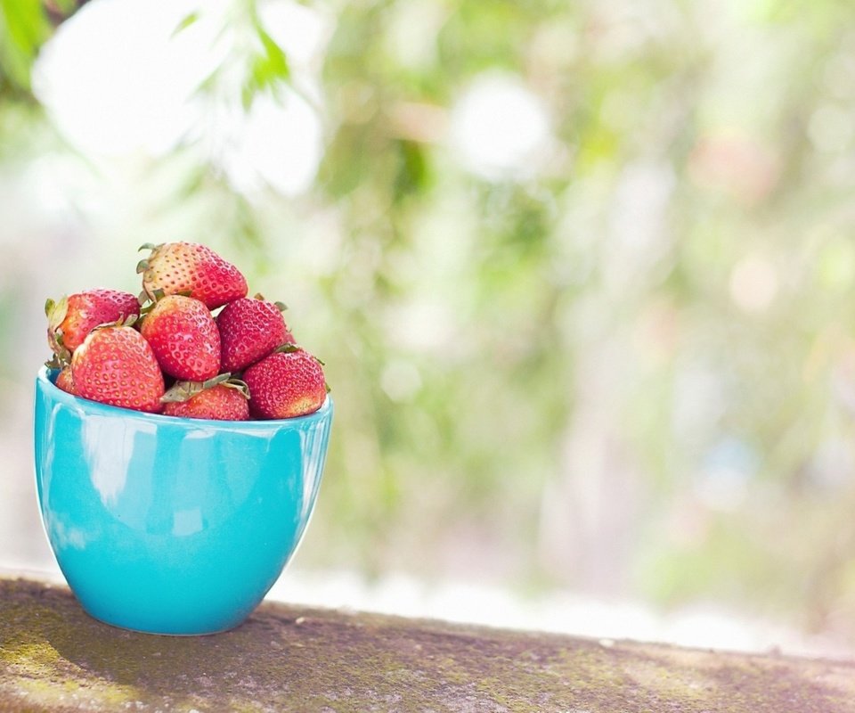 Обои листья, фон, клубника, размытость, ягоды, чашка, голубая, leaves, background, strawberry, blur, berries, cup, blue разрешение 1920x1275 Загрузить