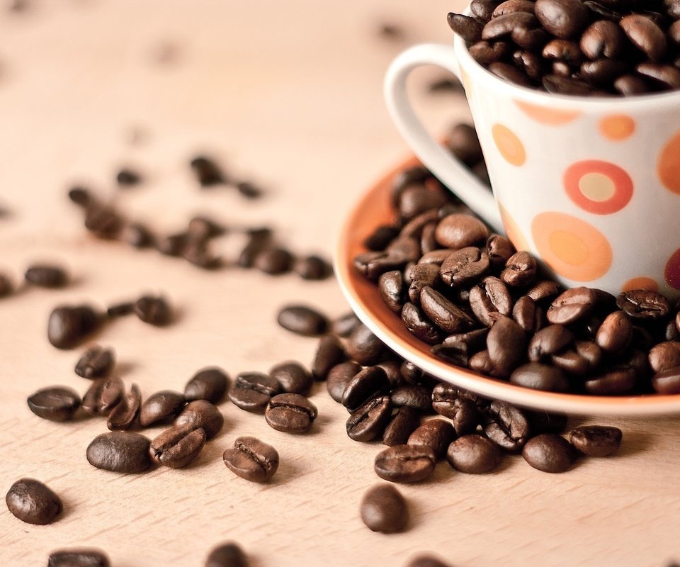 Обои зерна, кофе, чашка, кофейные, café en grano, andrés nieto porras, grain, coffee, cup разрешение 1920x1280 Загрузить