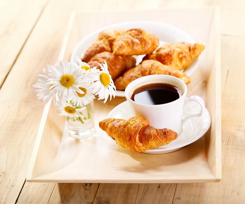 Обои цветы, кофе, ромашки, завтрак,  цветы, круассаны, flowers, coffee, chamomile, breakfast, croissants разрешение 4257x3756 Загрузить