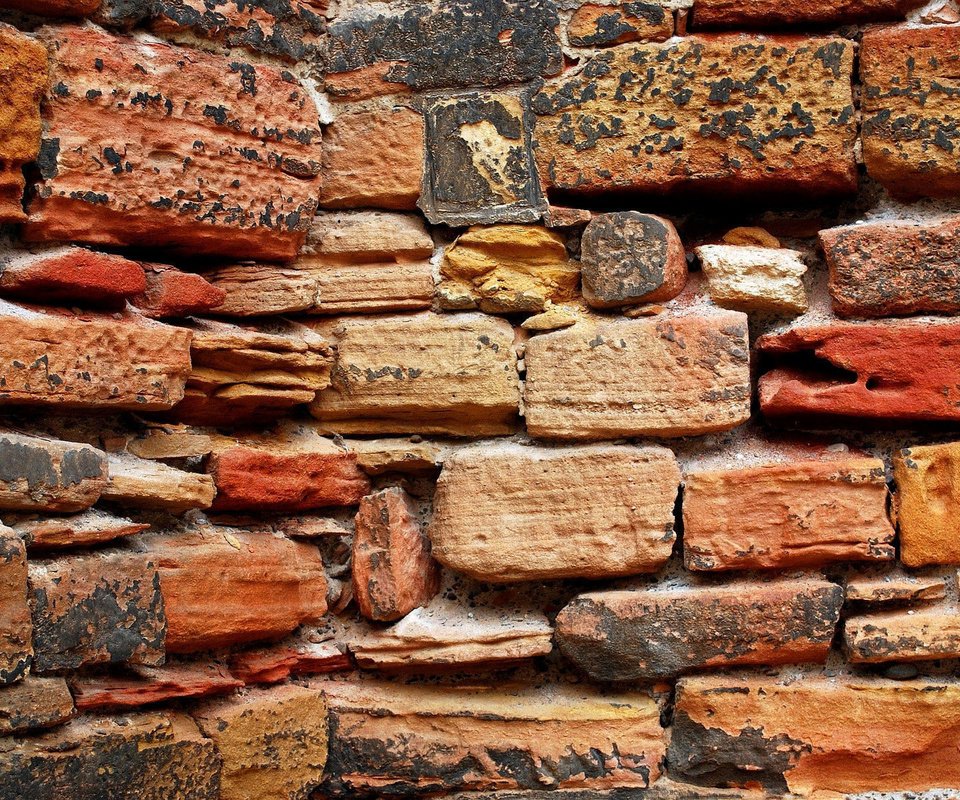Обои текстура, цвет, стена, кирпич, кирпичи, кирпичная стена, texture, color, wall, brick, bricks, brick wall разрешение 1920x1200 Загрузить