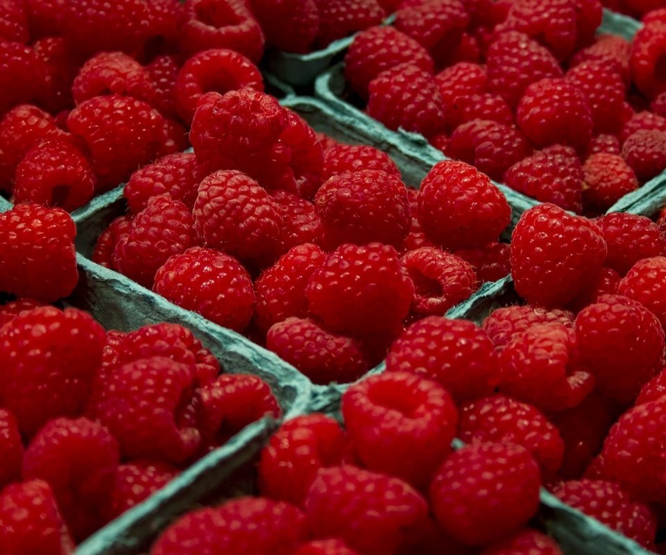 Обои макро, малина, ягоды, много, маалина, macro, raspberry, berries, a lot, malina разрешение 1920x1200 Загрузить