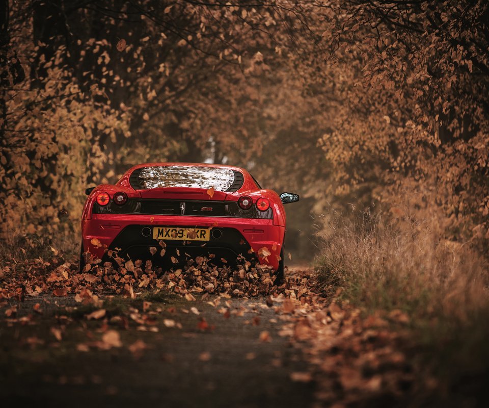 Обои листья, осень, красный, автомобиль, феррари, 430 scuderia, leaves, autumn, red, car, ferrari разрешение 3000x2002 Загрузить