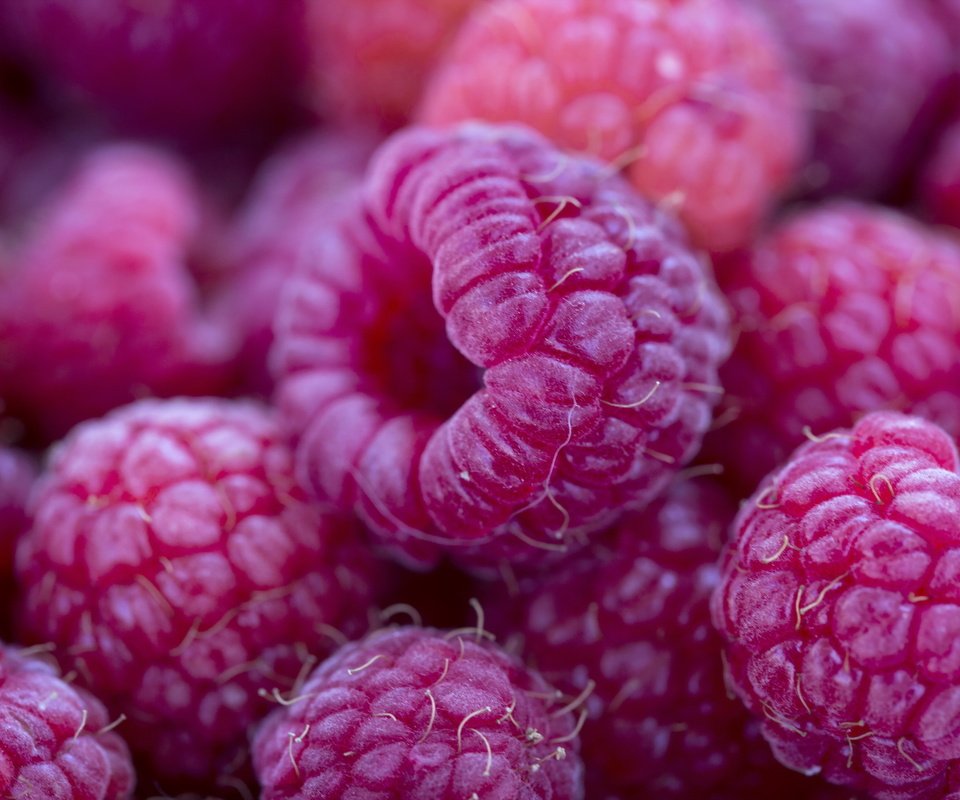 Обои макро, малина, ягоды, macro, raspberry, berries разрешение 2560x1707 Загрузить