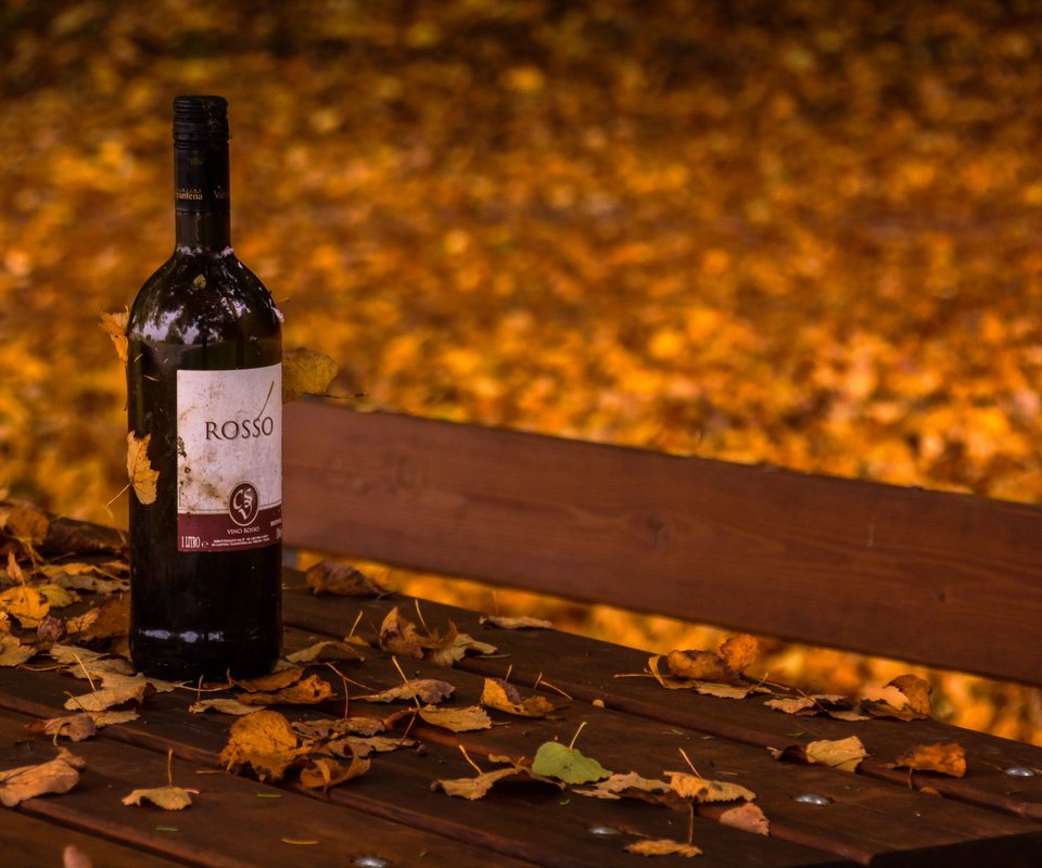 Обои листья, осень, вино, скамья, бутылка, leaves, autumn, wine, bench, bottle разрешение 2560x1707 Загрузить