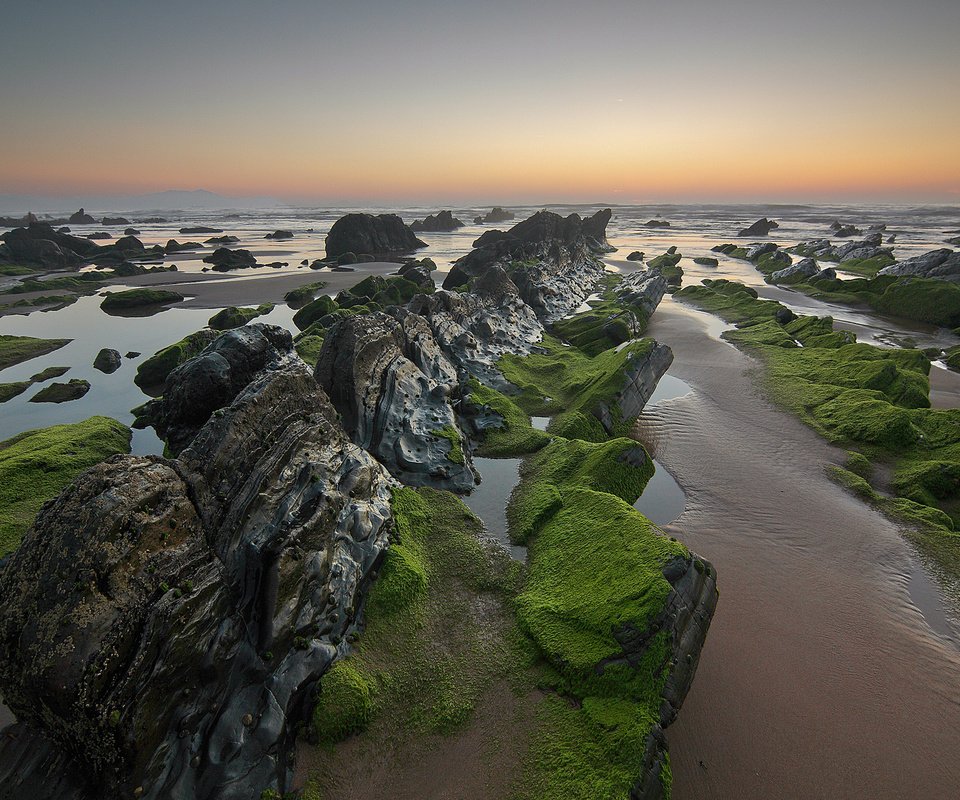 Обои скалы, камни, море, пляж, водоросли, rocks, stones, sea, beach, algae разрешение 2048x1364 Загрузить