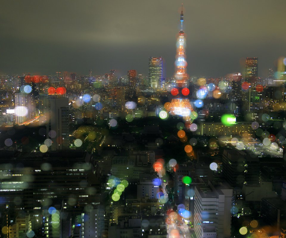 Обои ночь, огни, город, япония, токио, night, lights, the city, japan, tokyo разрешение 2880x1800 Загрузить