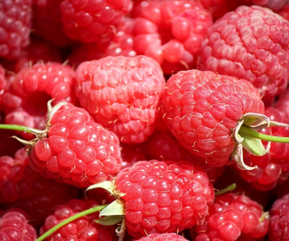 Обои макро, малина, ягоды, macro, raspberry, berries разрешение 2600x1670 Загрузить