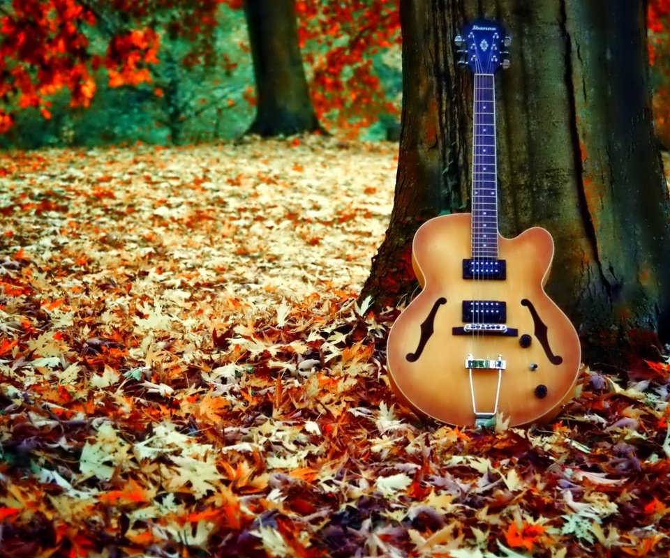 Обои дерево, листья, гитара, осень, листопад, tree, leaves, guitar, autumn, falling leaves разрешение 1920x1200 Загрузить