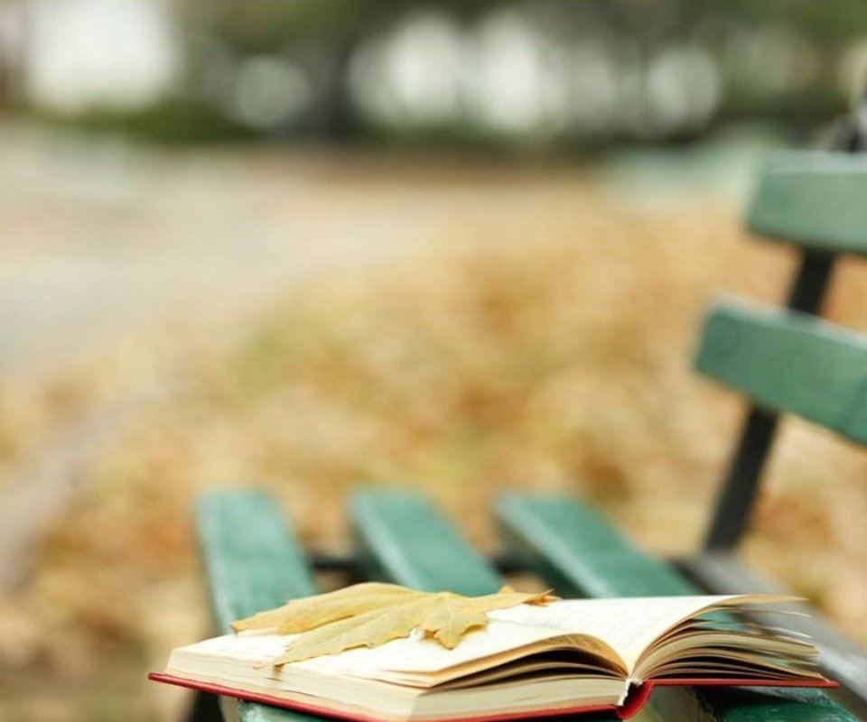 Обои осень, лист, скамейка, листик, книга, осен, книгa, autumn, sheet, bench, leaf, book разрешение 2560x1600 Загрузить