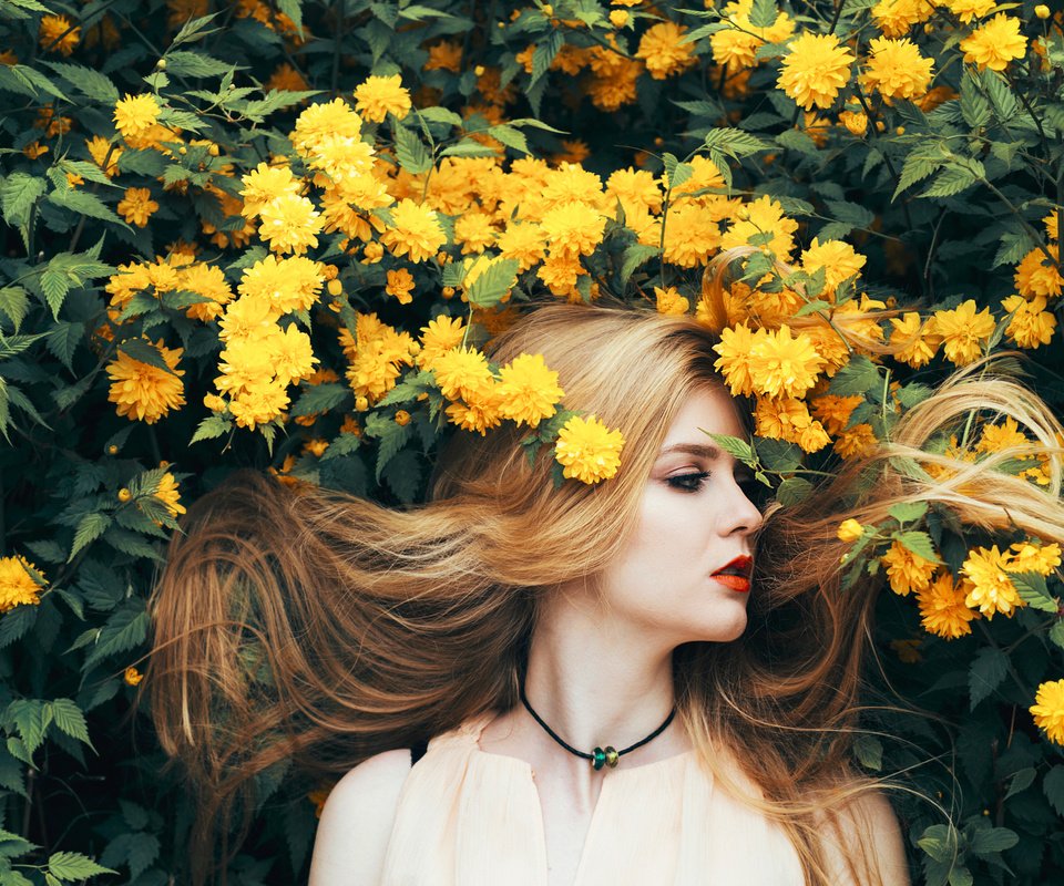 Обои цветы, природа, девушка, лето, волосы, желтые, flowers, nature, girl, summer, hair, yellow разрешение 2048x1365 Загрузить