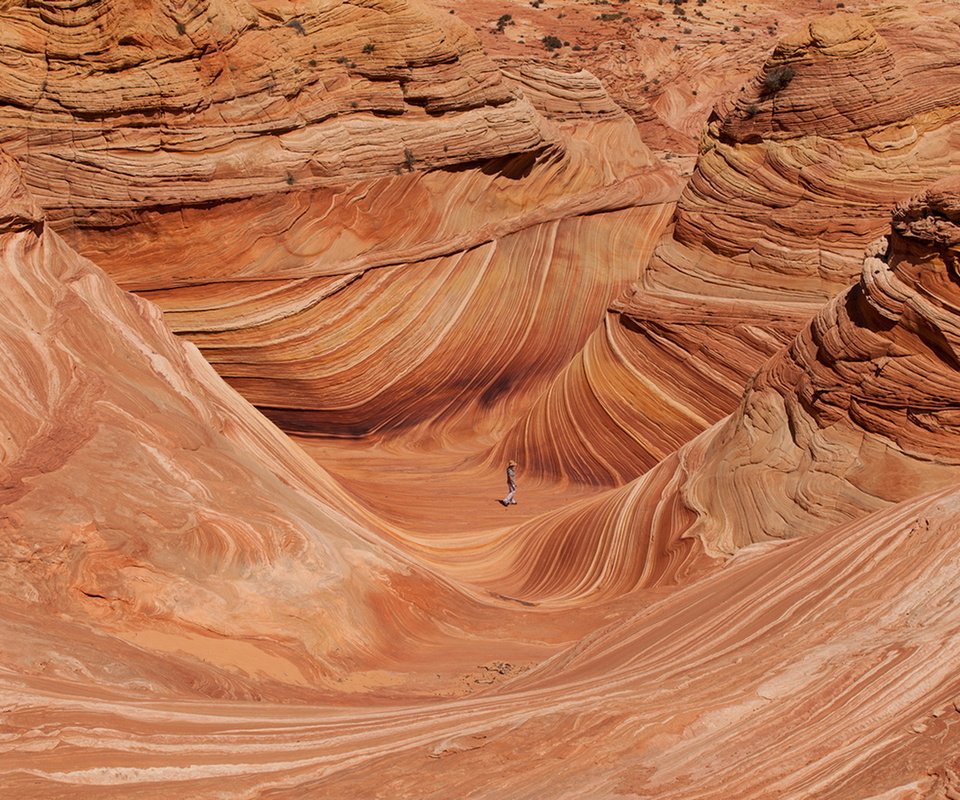 Обои каньон, сша, юта, национальный парк, койот баттс, canyon, usa, utah, national park, coyote butts разрешение 1920x1280 Загрузить