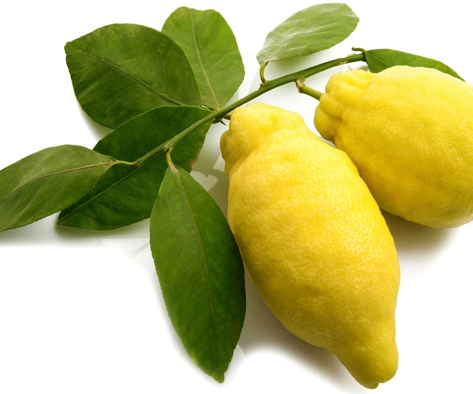Обои фрукты, желтые, лимоны, цитрусы, fruit, yellow, lemons, citrus разрешение 1920x1267 Загрузить