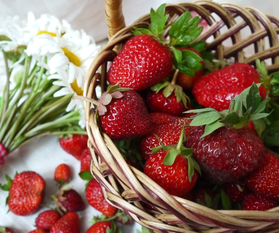 Обои клубника, ромашки, букет, корзина, ягоды, strawberry, chamomile, bouquet, basket, berries разрешение 2400x1571 Загрузить