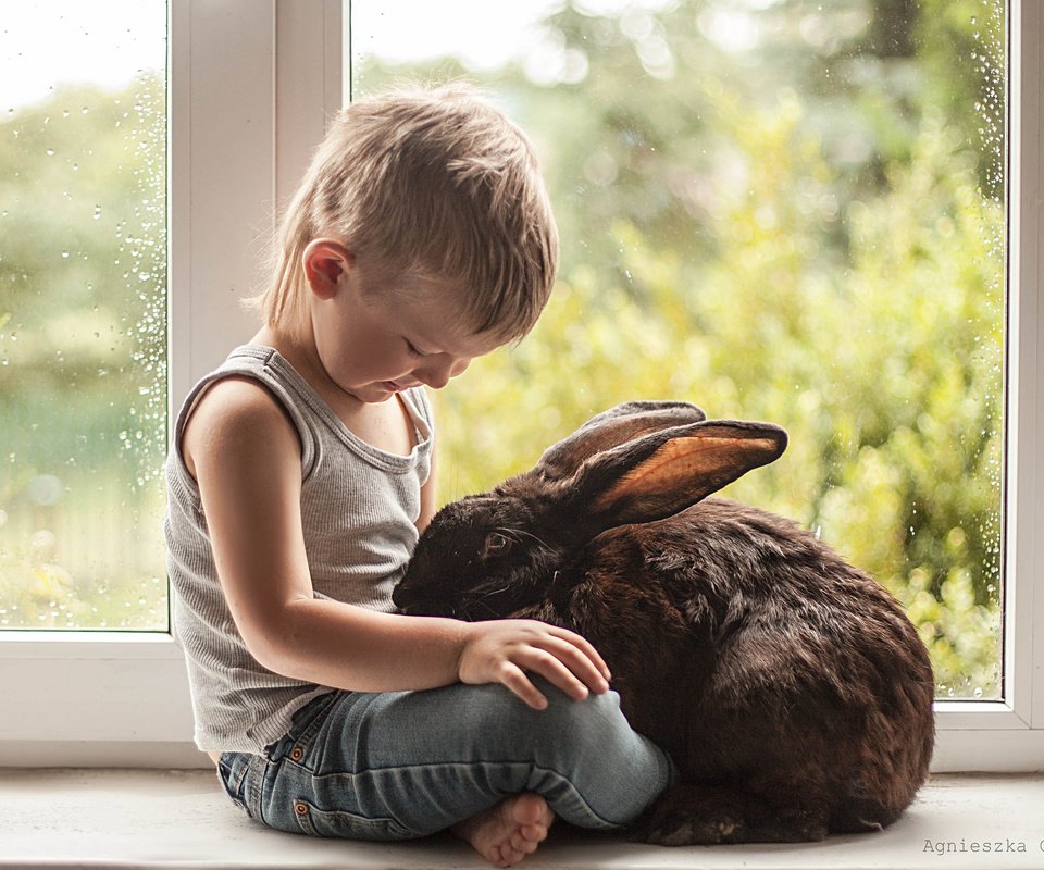 Обои ребенок, кролик, мальчик, друзья, child, rabbit, boy, friends разрешение 2048x1332 Загрузить