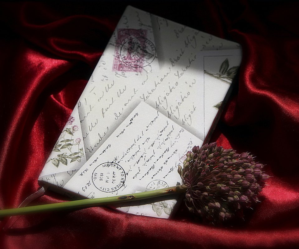 Обои фон, цветок, письмо, background, flower, letter разрешение 1920x1230 Загрузить