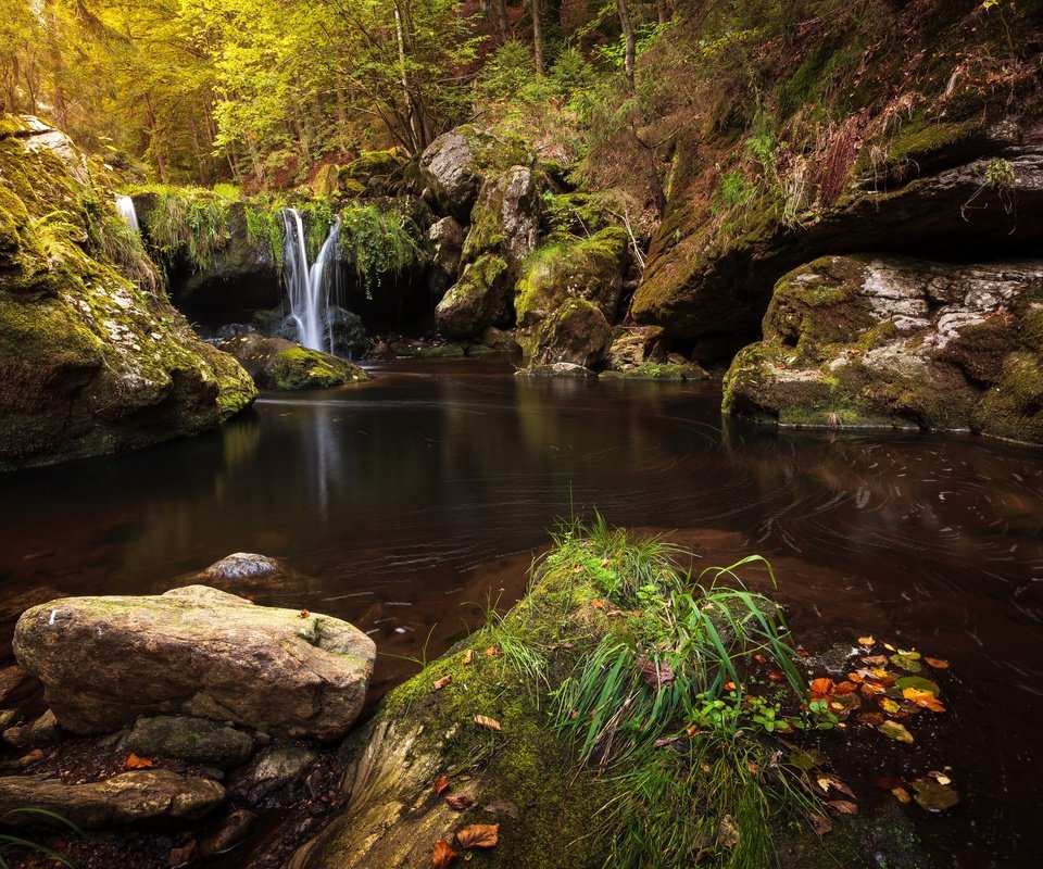 Обои деревья, камни, лес, ручей, водопад, мох, trees, stones, forest, stream, waterfall, moss разрешение 2880x1920 Загрузить