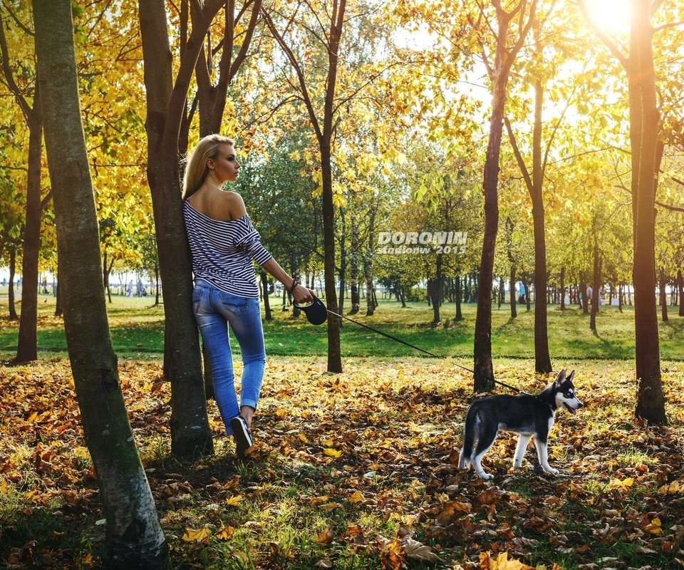 Обои деревья, фотограф, собаку, солнце, хаски, листья, прическа, девушка, фигура, парк, майка, блондинка, поводок, осень, тельняшка, джинсы, denis doronin, выгуливает, walks, trees, photographer, the dog, the sun, husky, leaves, hairstyle, girl, figure, park, mike, blonde, leash, autumn, vest, jeans разрешение 2560x1680 Загрузить