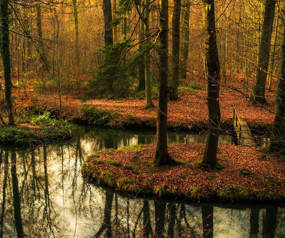 Обои деревья, вода, лес, отражение, мост, осень, водоем, осен, заркало, mirror, trees, water, forest, reflection, bridge, autumn, pond разрешение 2415x1606 Загрузить