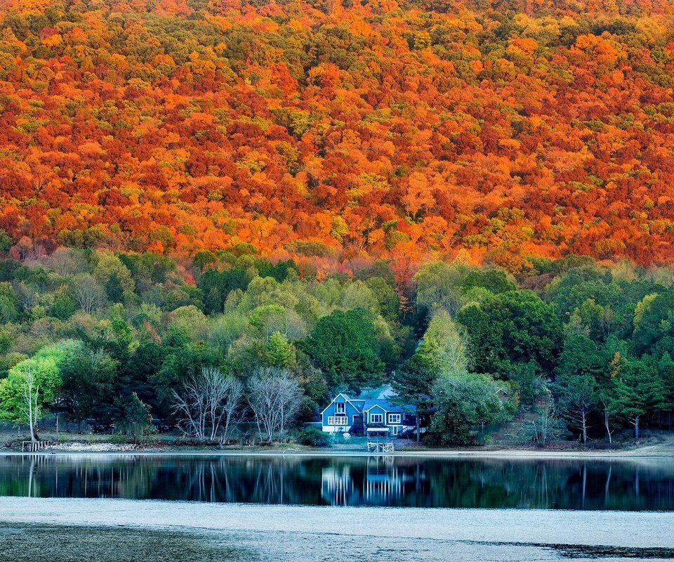 Обои лес, осень, дом, alabama in autumn, forest, autumn, house разрешение 2048x1365 Загрузить