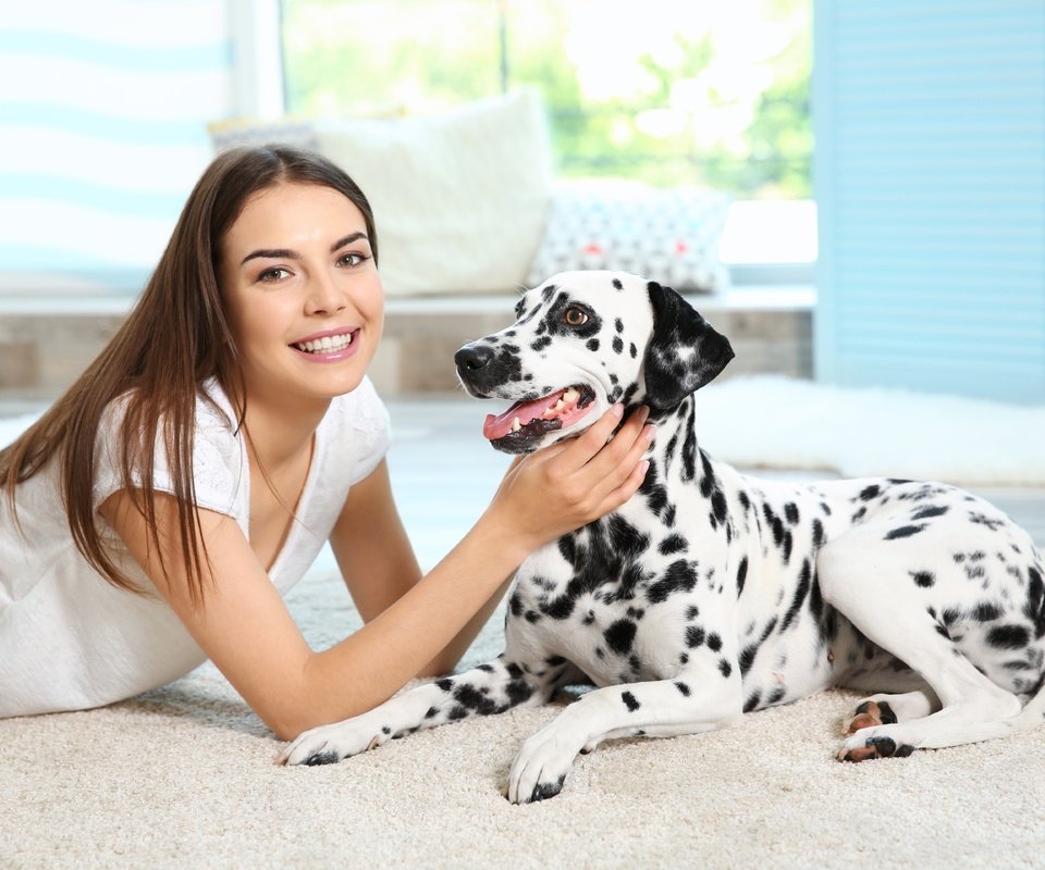 Обои девушка, улыбка, собака, далматин, cобака, dog-dalmatian-sobaka-dalmatin.jpg далматин, girl, smile, dog, dalmatian, dog-dalmatian-sobaka-dalmatin.jpg dalmatian разрешение 5648x3840 Загрузить