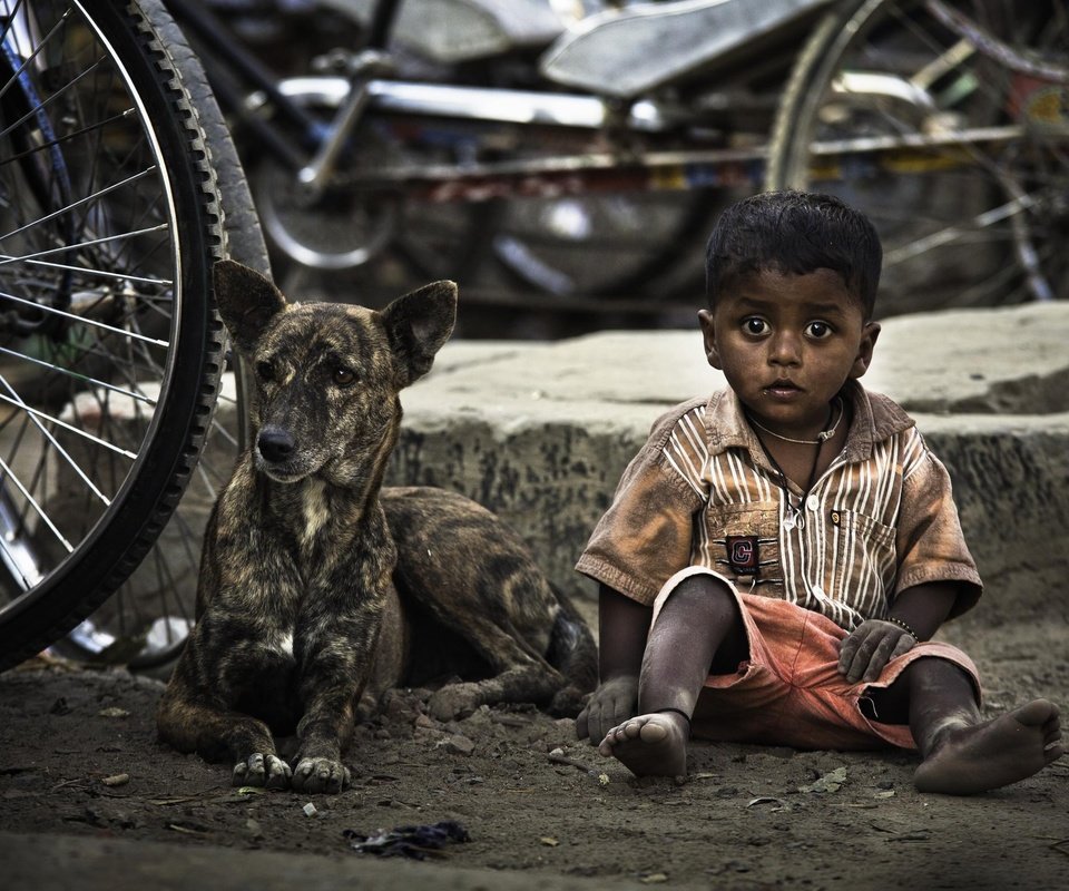 Обои собака, дети, ребенок, мальчик, велосипед, dog, children, child, boy, bike разрешение 2500x1561 Загрузить