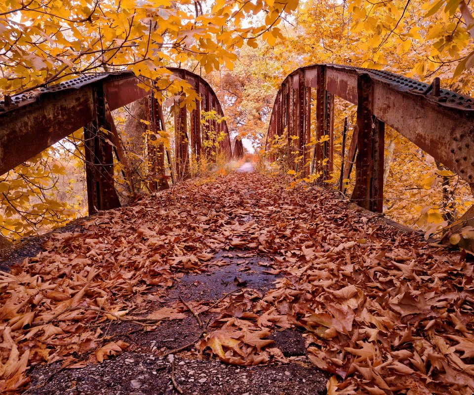 Обои деревья, листья, парк, мост, осень, trees, leaves, park, bridge, autumn разрешение 1920x1246 Загрузить