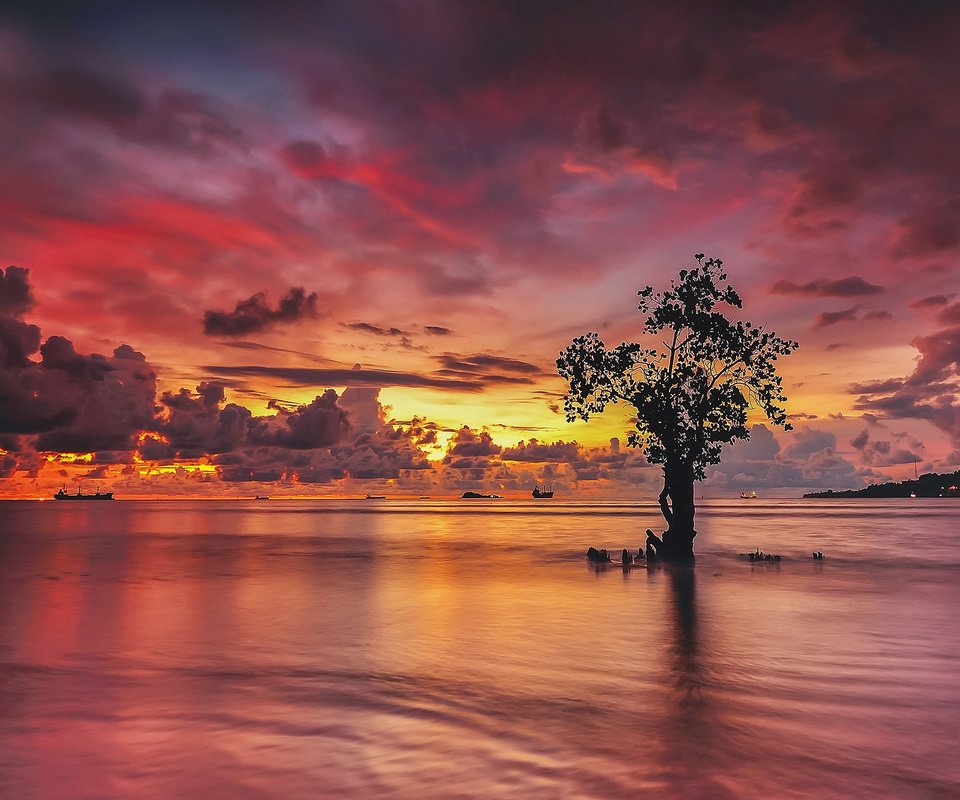 Обои облака, огни, вода, дерево, закат, отражение, корабли, clouds, lights, water, tree, sunset, reflection, ships разрешение 2048x1279 Загрузить