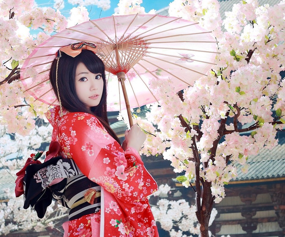 Обои девушка, взгляд, волосы, сакура, зонтик, кимоно, азиатка, гейша, girl, look, hair, sakura, umbrella, kimono, asian, geisha разрешение 2048x1365 Загрузить