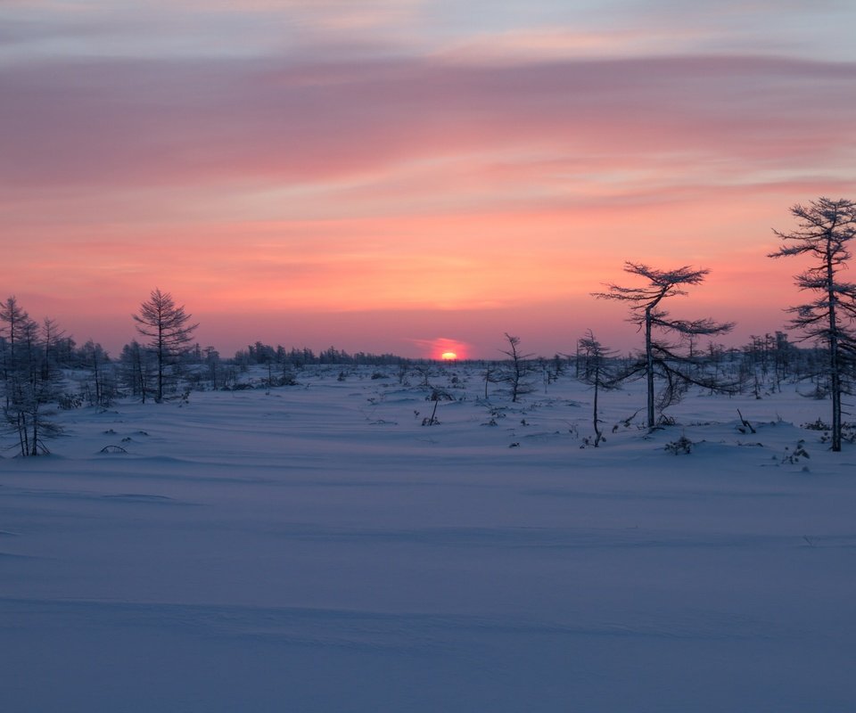 Обои деревья, восход, снег, зима, рассвет, россия, сахалин, trees, sunrise, snow, winter, dawn, russia, sakhalin разрешение 3600x2400 Загрузить