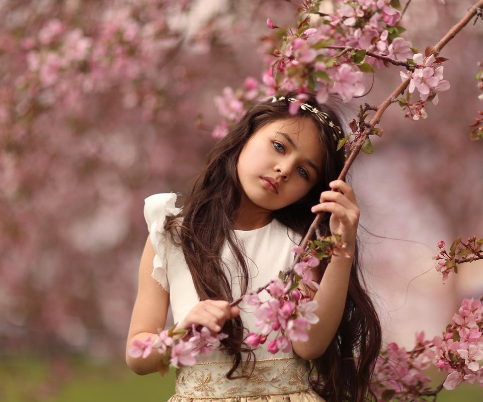 Обои цветы, ветка, платье, девочка, весна, katie andelman, flowers, branch, dress, girl, spring разрешение 2048x1397 Загрузить