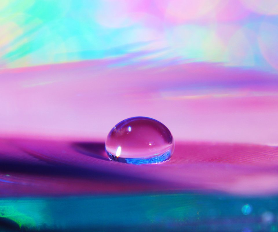 Обои вода, макро, капля, о, прозрачность, п, сиреневый фон, water, macro, drop, on, transparency, p, lilac background разрешение 2898x2898 Загрузить