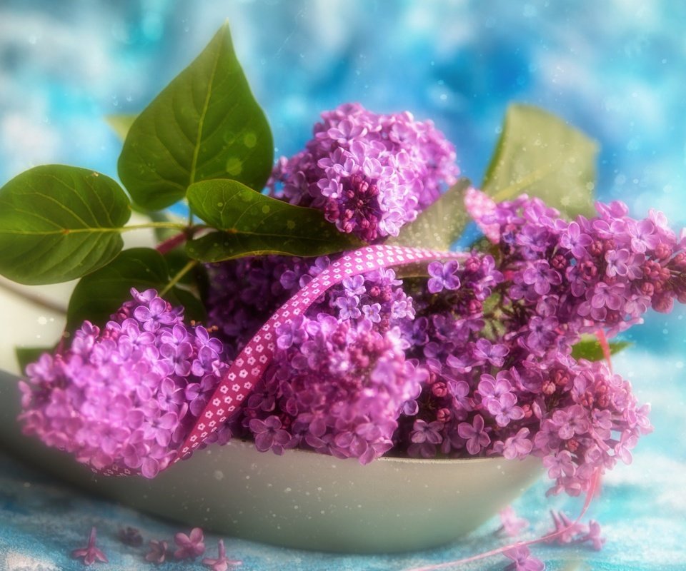 Обои цветы, ветки, лента, букетик, сирень, боке, тесьма, flowers, branches, tape, a bunch, lilac, bokeh, braid разрешение 2048x1362 Загрузить